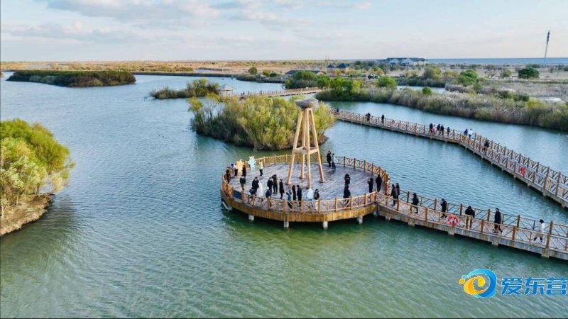 押注粉丝最 押注粉丝最